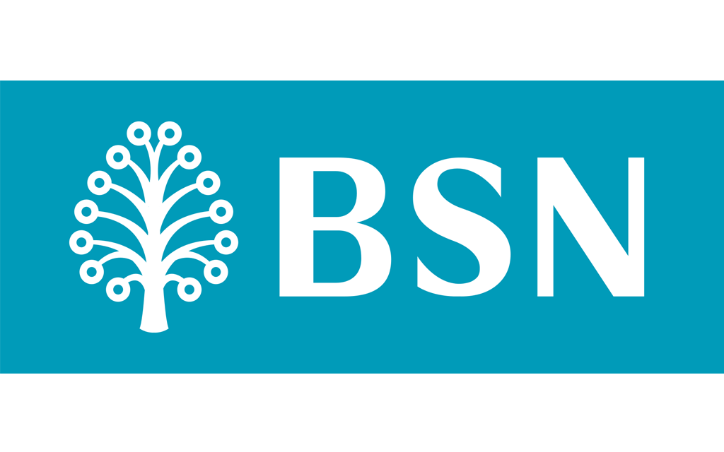 logo-banks-bsn